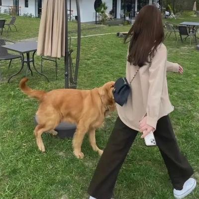 完美小姐进化论
